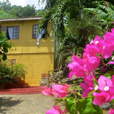 La Familia Guest House And Natural Farm Port Antonio Exterior foto