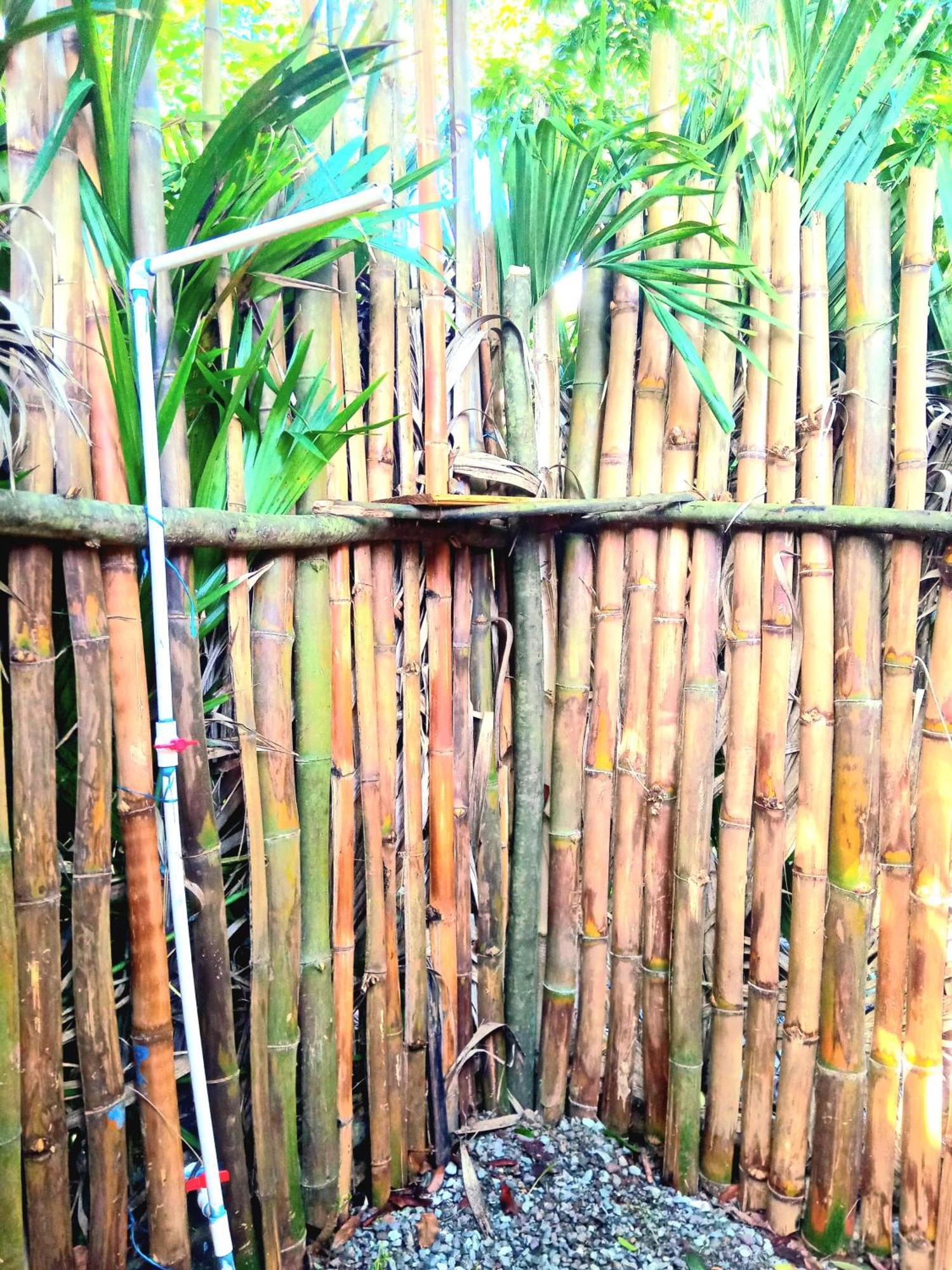 La Familia Guest House And Natural Farm Port Antonio Exterior foto