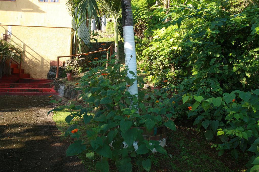 La Familia Guest House And Natural Farm Port Antonio Exterior foto