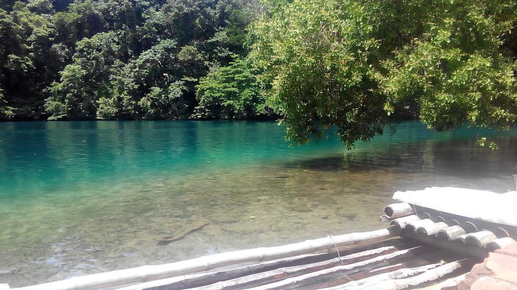 La Familia Guest House And Natural Farm Port Antonio Exterior foto