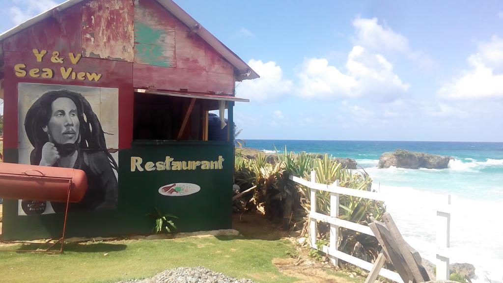 La Familia Guest House And Natural Farm Port Antonio Exterior foto