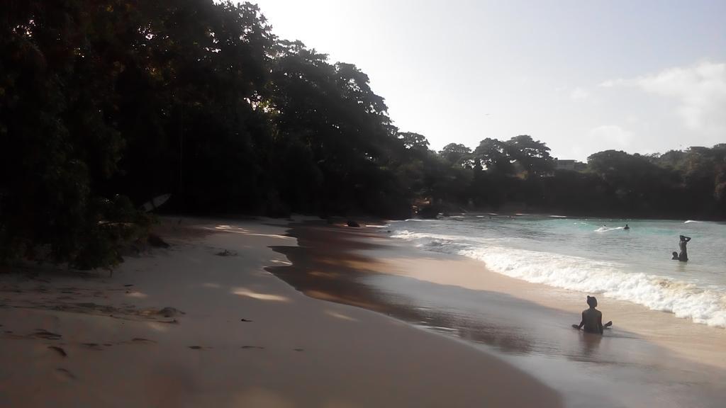 La Familia Guest House And Natural Farm Port Antonio Exterior foto