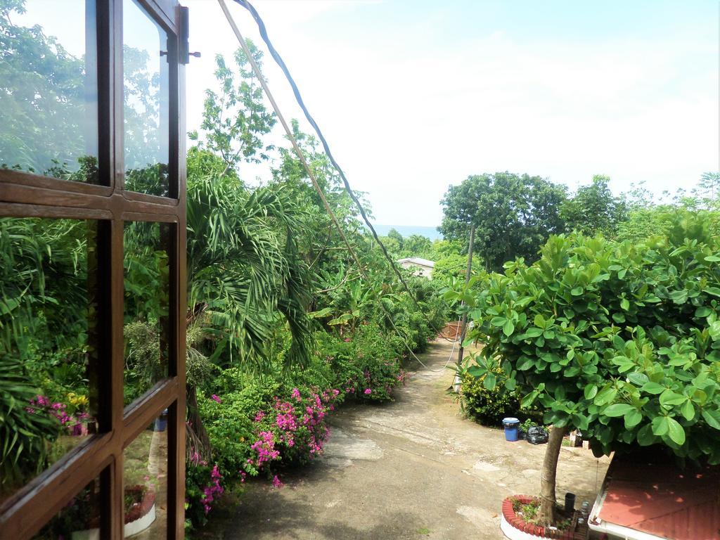 La Familia Guest House And Natural Farm Port Antonio Exterior foto